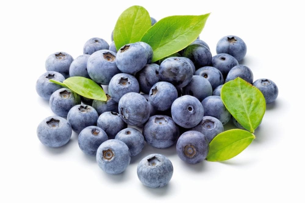 Borovnica 500 g Akcija u trgovini Spar