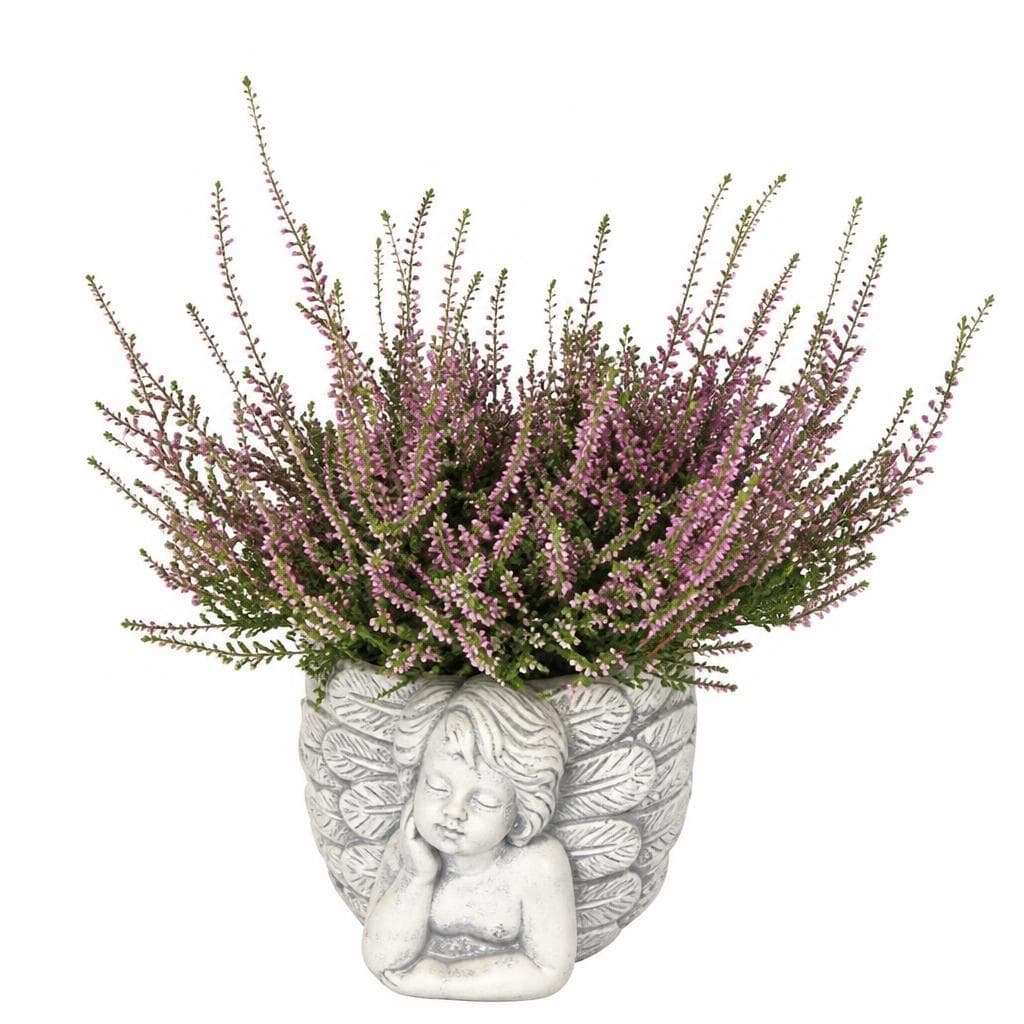 Calluna All Saints Deco Angel 14cm Akcija u trgovini Konzum