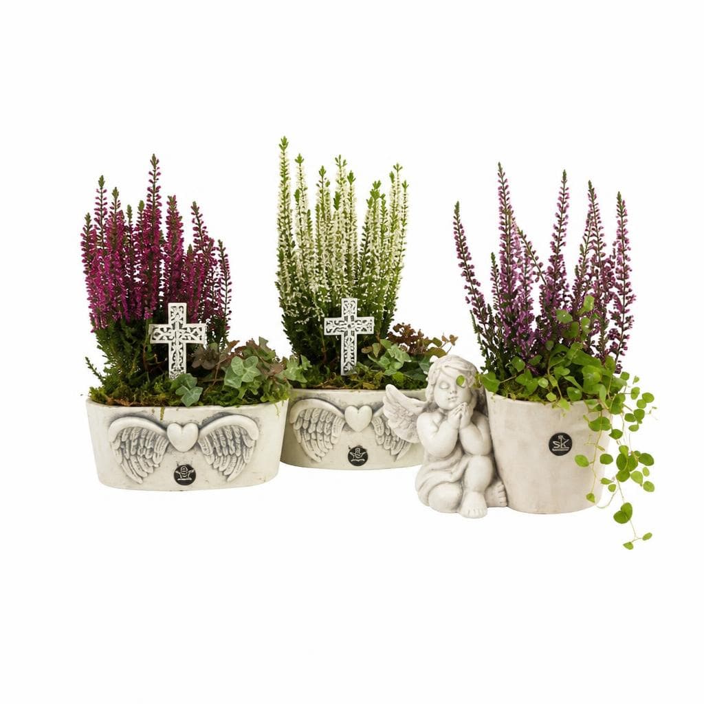 Aranžman Svi Sveti 1 kom Akcija u trgovini Spar