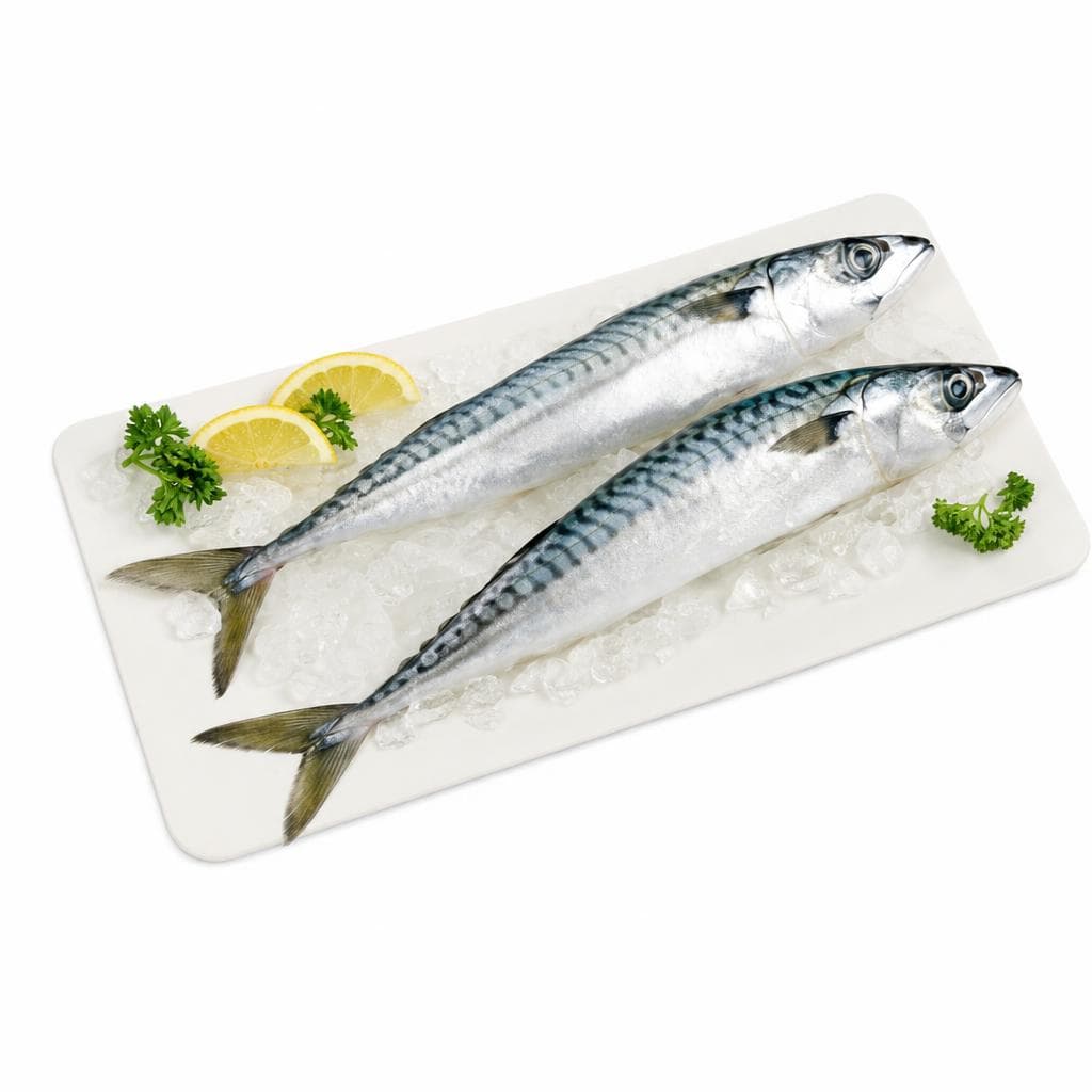 Svježa skuša 1 kg Akcija u trgovini Spar