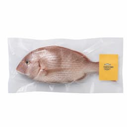 Fishcultura svježi divlji očišćeni zubatac