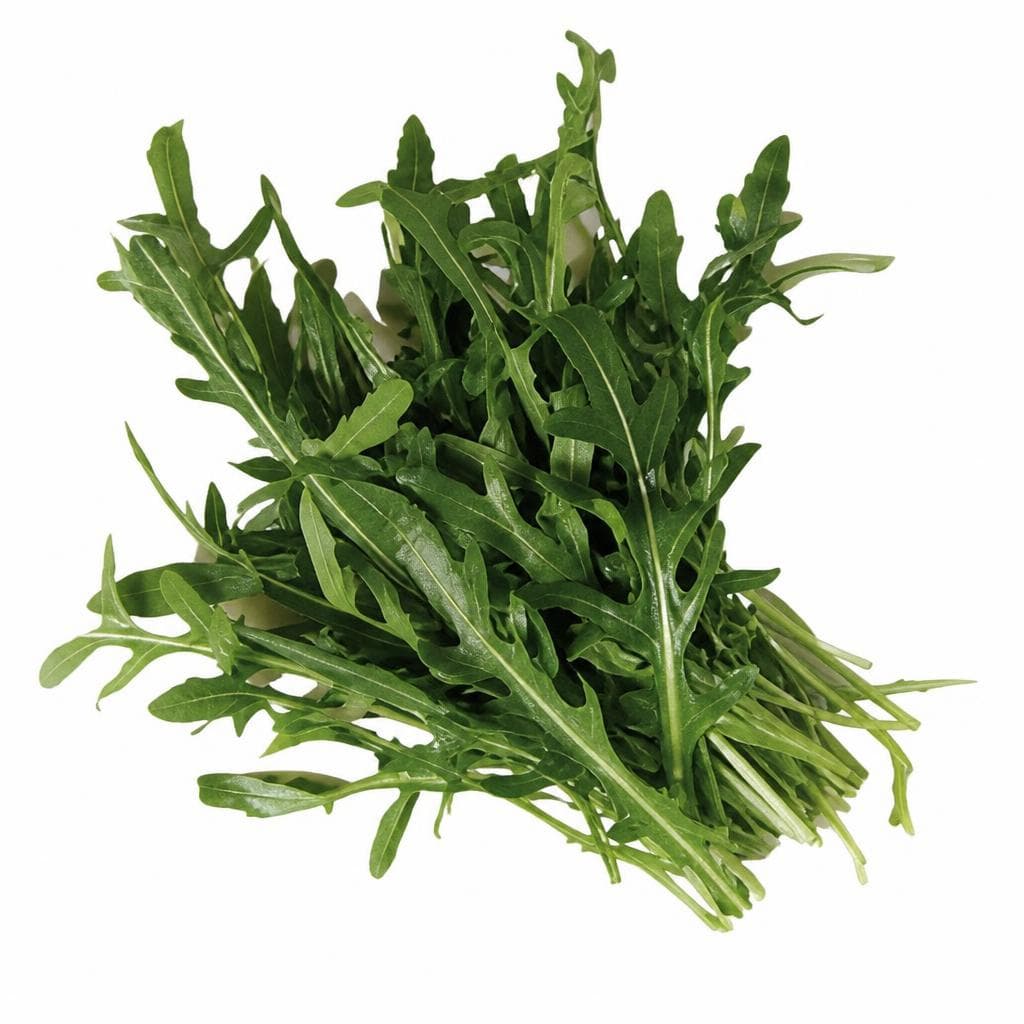 Salata rukola 125 g Akcija u trgovini Lidl