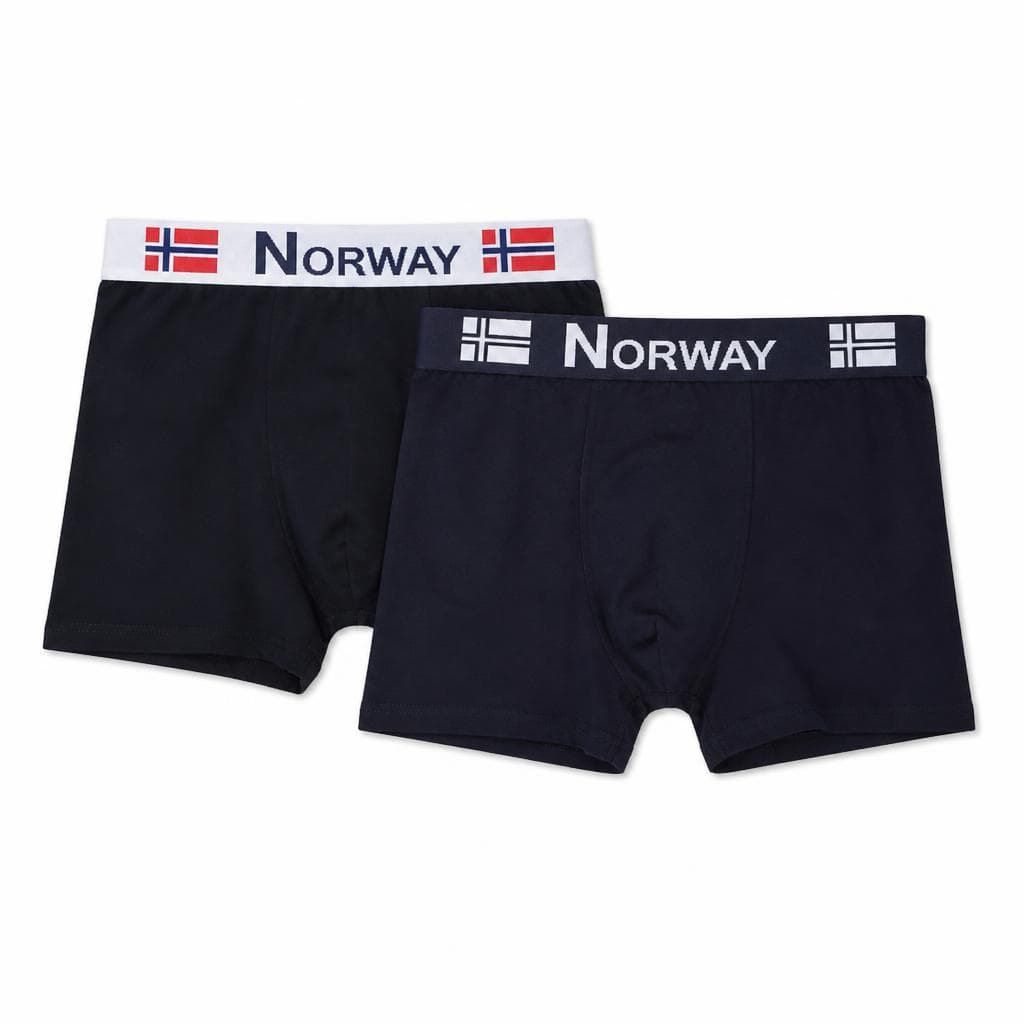 Muške gaće bokserice Geographical 2 komada, vel. M-XXL Geographical Norway Akcija u trgovini Spar