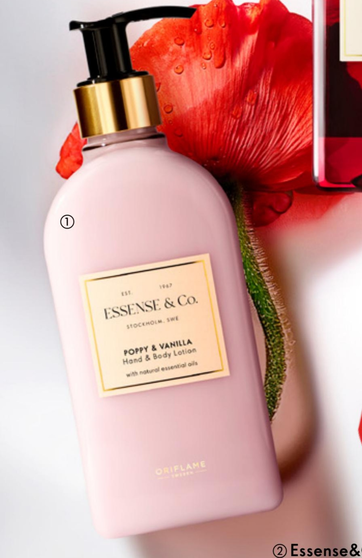 Essense&Co. losion za ruke i tijelo s makom i vanilijom 300 ml - Akcija u trgovini Oriflame