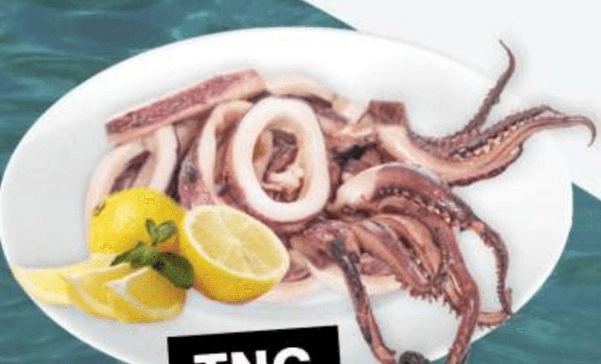 Lignja Patagonica kolutići i krakovi 850 g - Akcija u trgovini Stanić Diskont