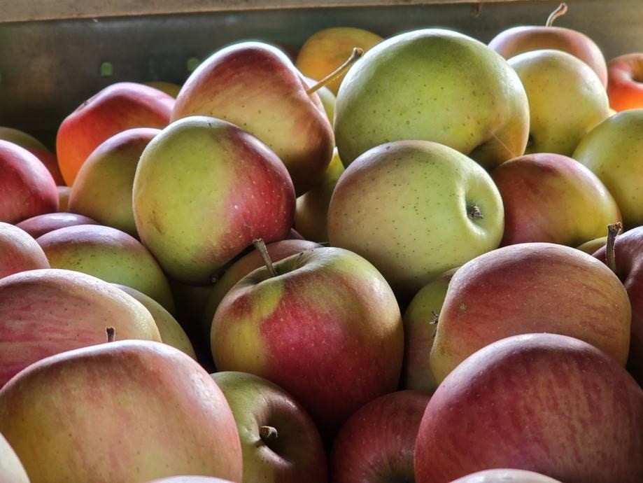 Jabuka Pinova 1 kg Akcija u trgovini Ribola