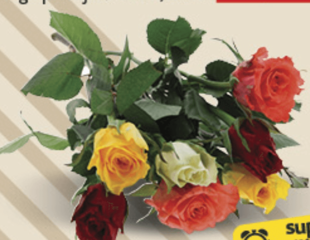 Buket 7 ruža Harmony kom - Akcija u trgovini Konzum