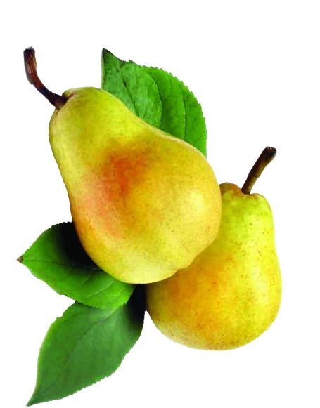 Kruška Wiliams 1 kg - Akcija u trgovini Boso