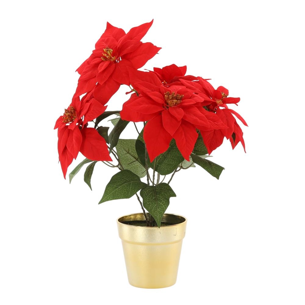 Cvijet božićna zvijezda Ø 12 cm - Akcija u trgovini KTC