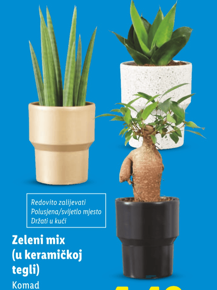 Zeleni mix - Akcija u trgovini Lidl