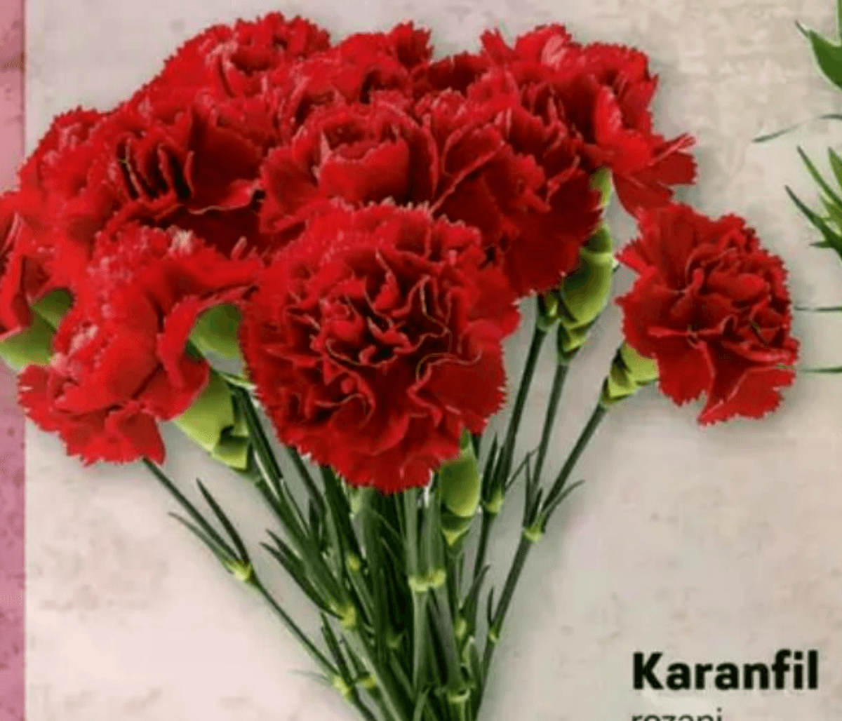 Karanfil - Akcija u trgovini Plodine