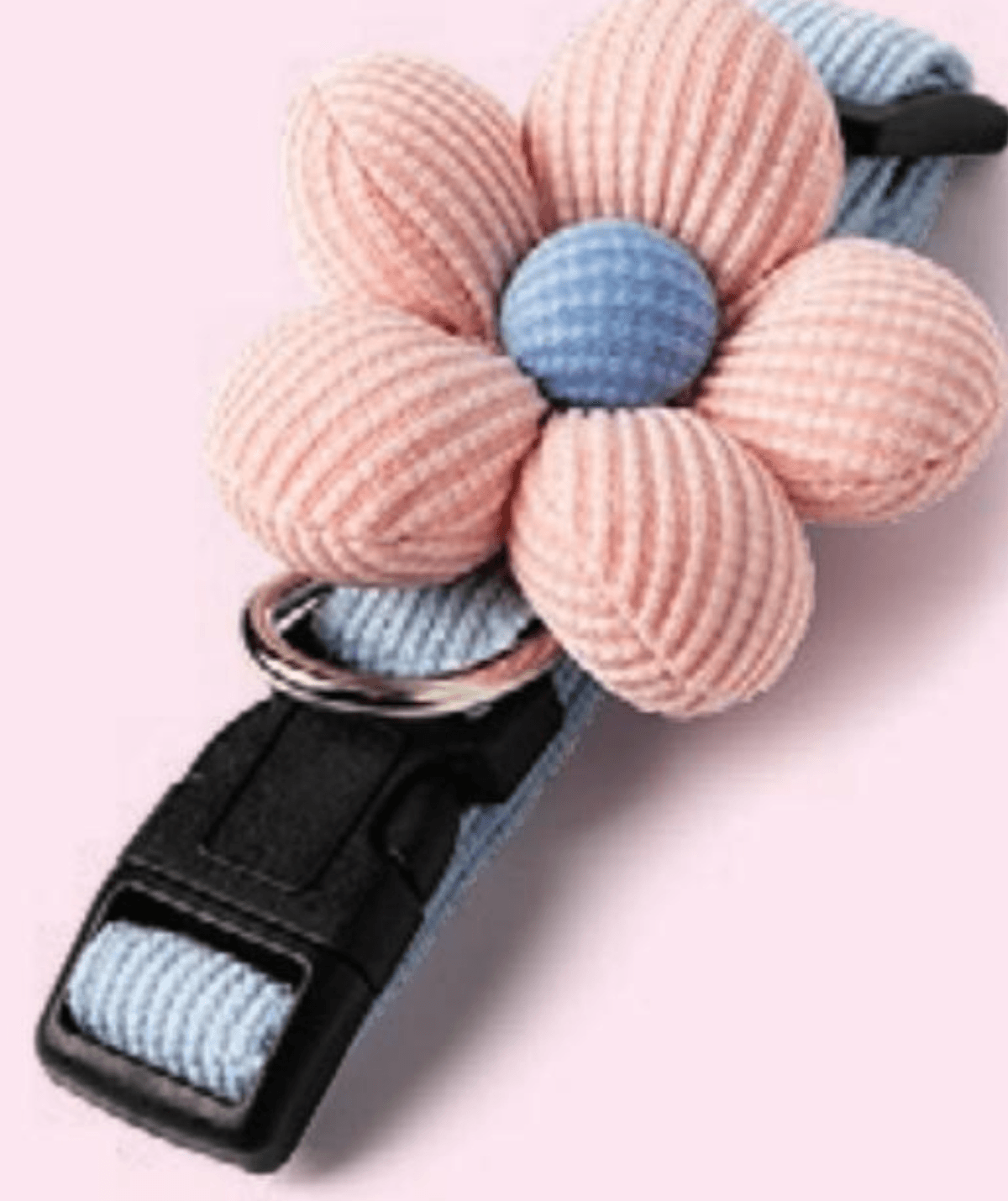 Ogrlica za pse - Akcija u trgovini Pepco