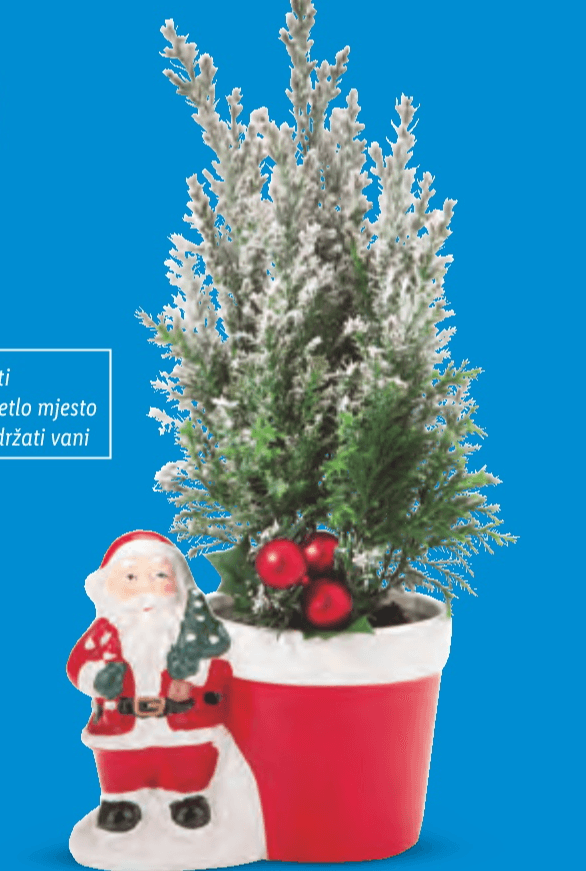 Ellwoodi - Akcija u trgovini Lidl