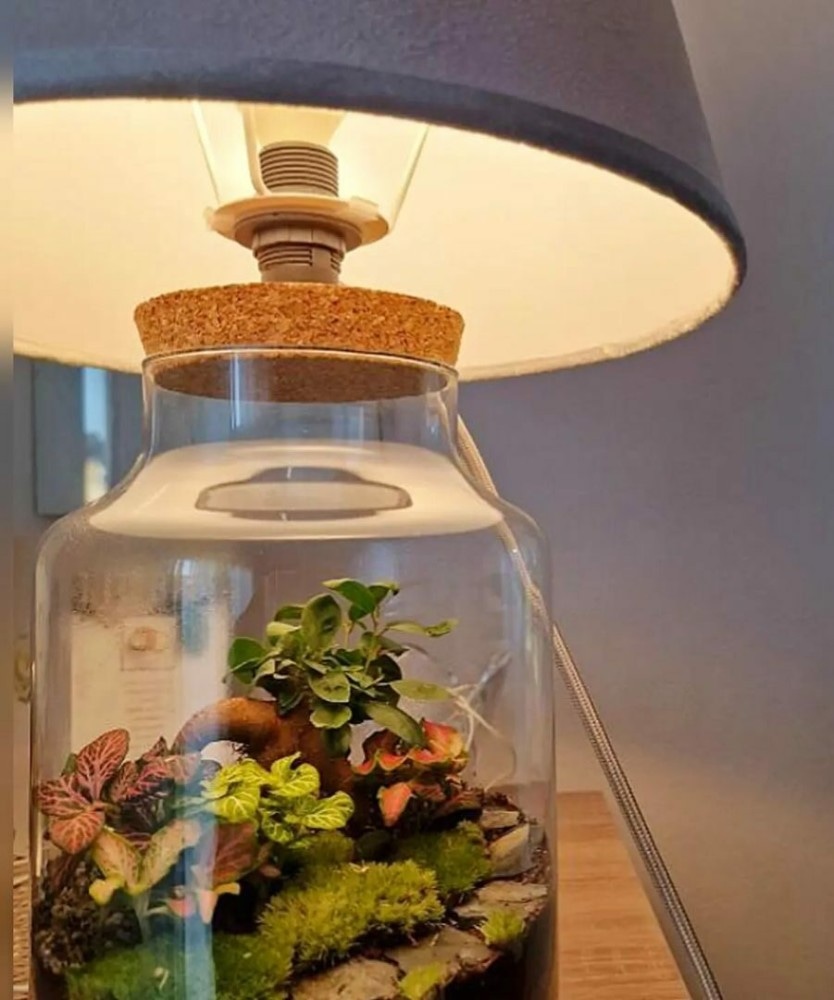 Terarij s biljkama led promjera 12 cm Akcija u trgovini KTC
