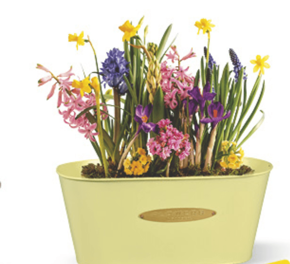 Posuda ovalna kom - Akcija u trgovini Konzum