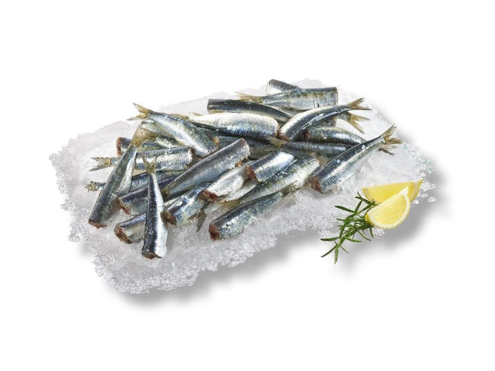 Jadranska srdela 1 kg - Akcija u trgovini Stanić Diskont