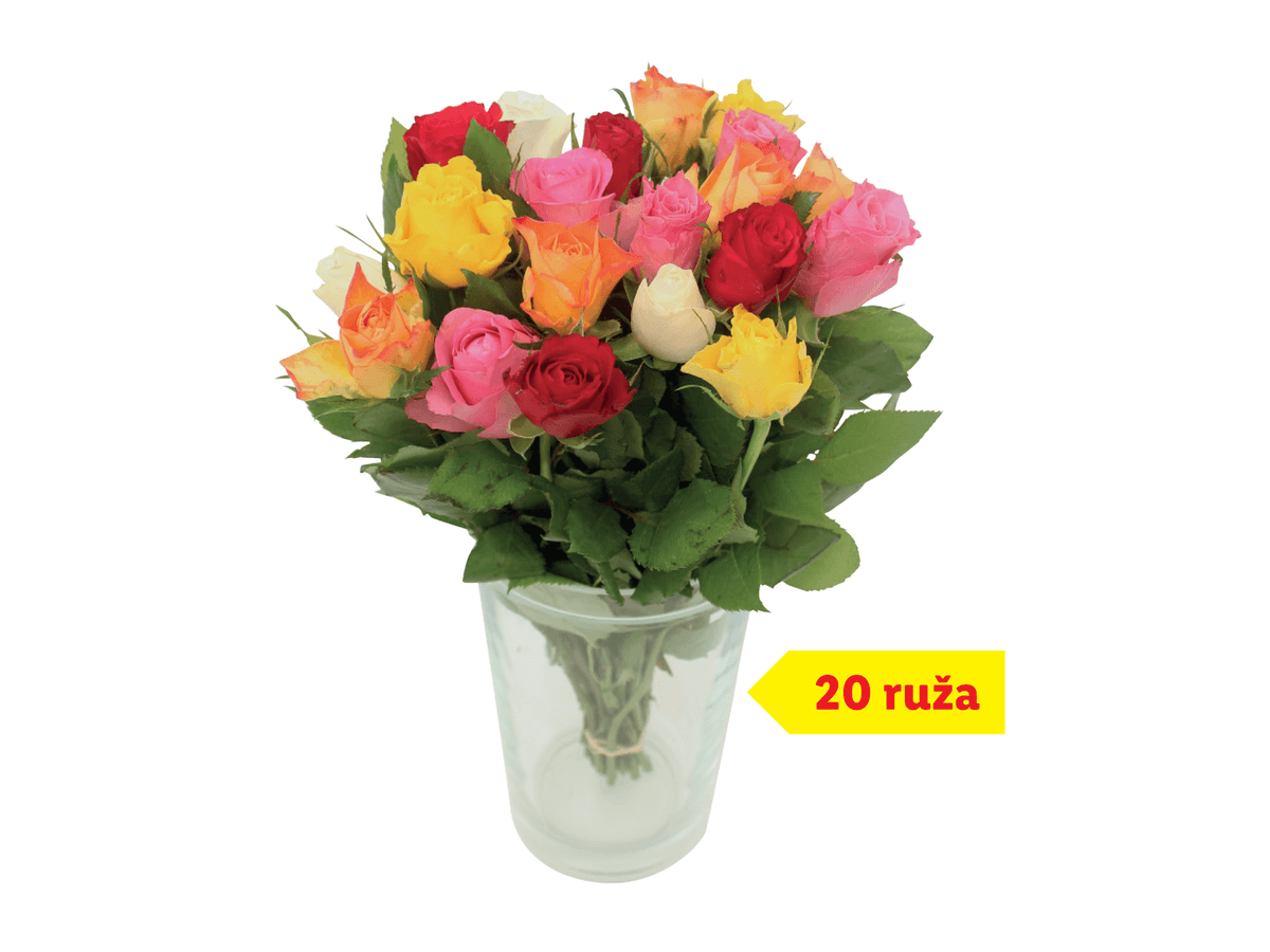 Ruže rezane 20 ruža - Akcija u trgovini Lidl
