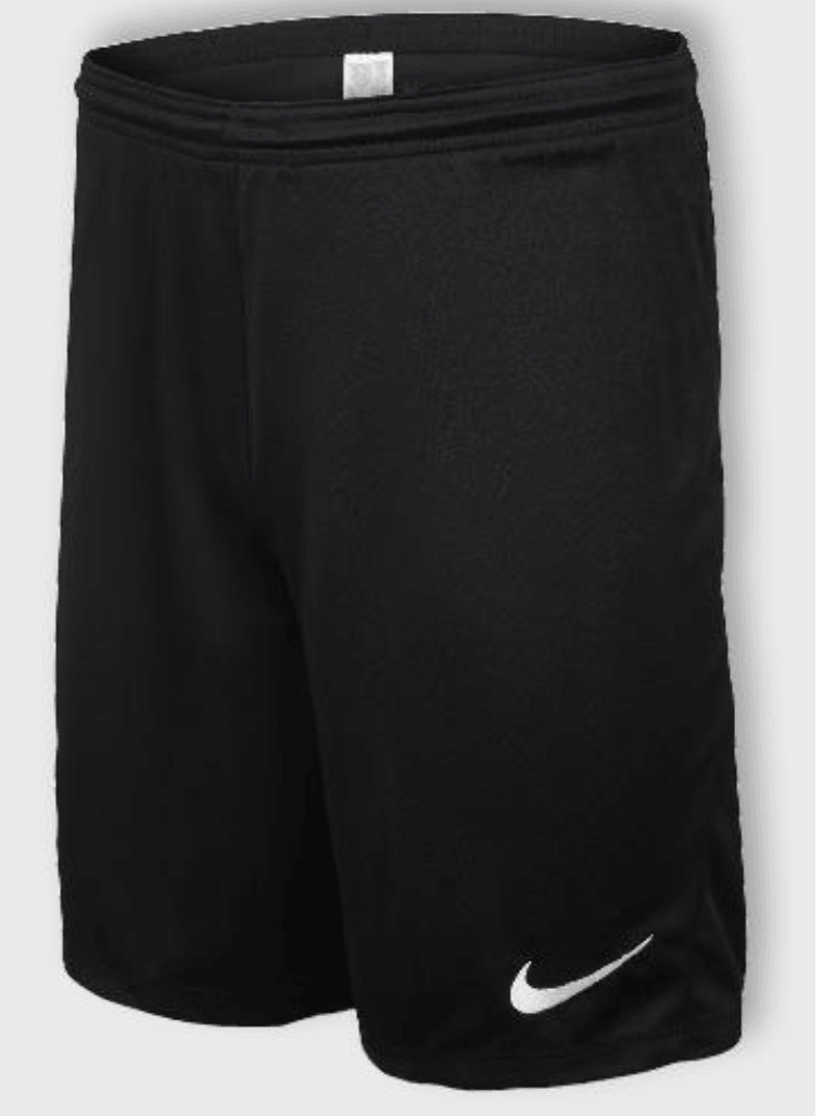 Muške funkcionalne kratke hlače komad NIKE - Akcija u trgovini Kaufland