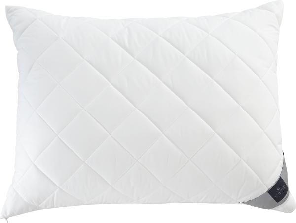 Jastuk Vel. 50x70 cm - Akcija u trgovini KTC