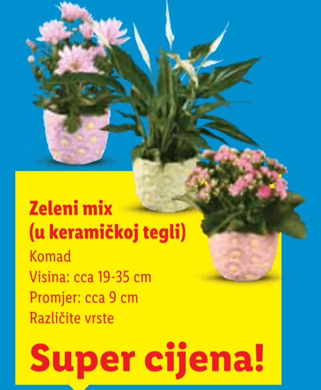 Zeleni mix - Akcija u trgovini Lidl