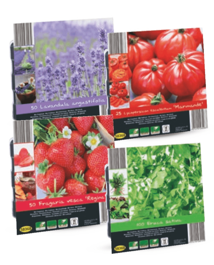 Mini staklenik - Akcija u trgovini Lidl