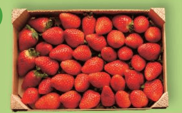 Jagoda 1 kg - Akcija u trgovini Kaufland