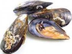 Bio dagnja 1 kg - Akcija u trgovini Spar