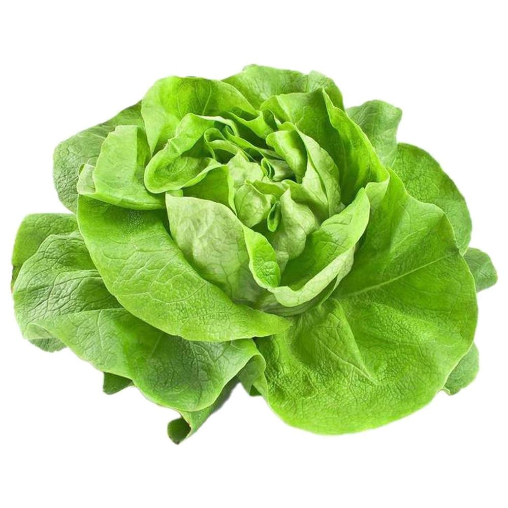 Domaća salata puterica komad - Akcija u trgovini Kaufland