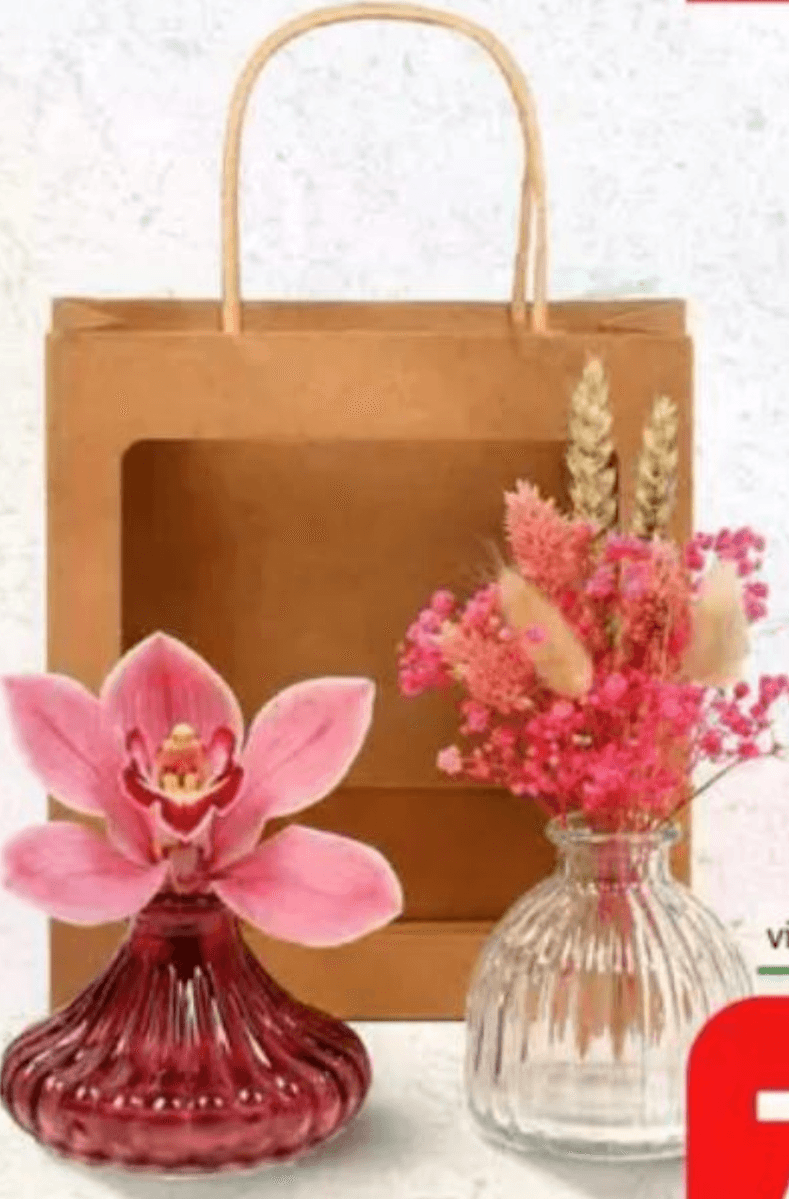 Orhideja 30 cm - Akcija u trgovini Plodine