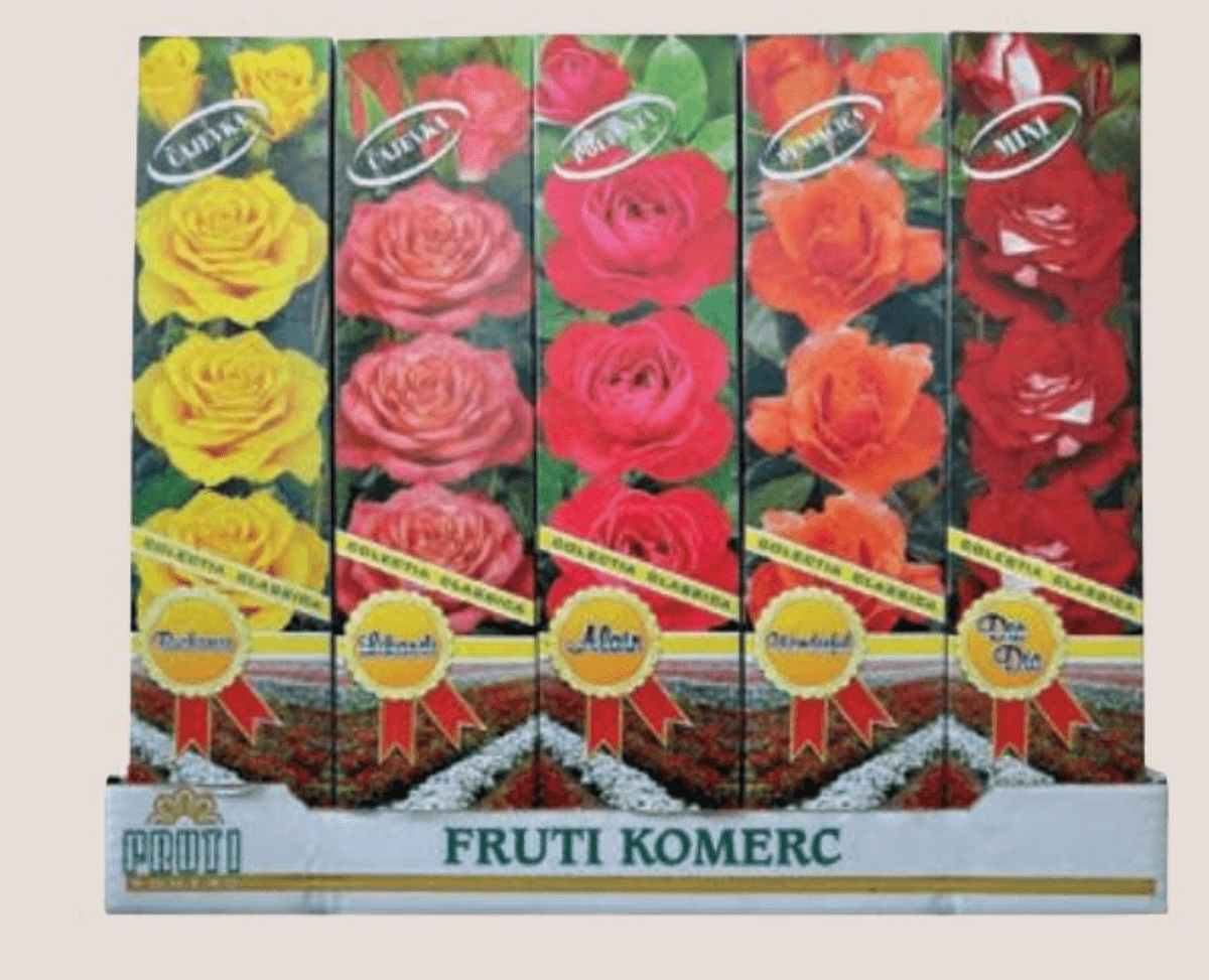 Sadnice ruža 1 kom - Akcija u trgovini Spar