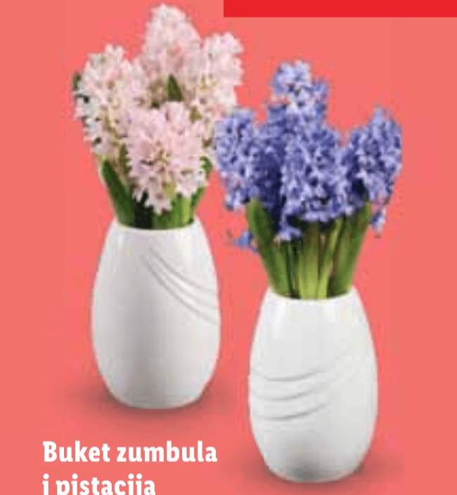 Buket zumbula i pistacija - Akcija u trgovini Lidl