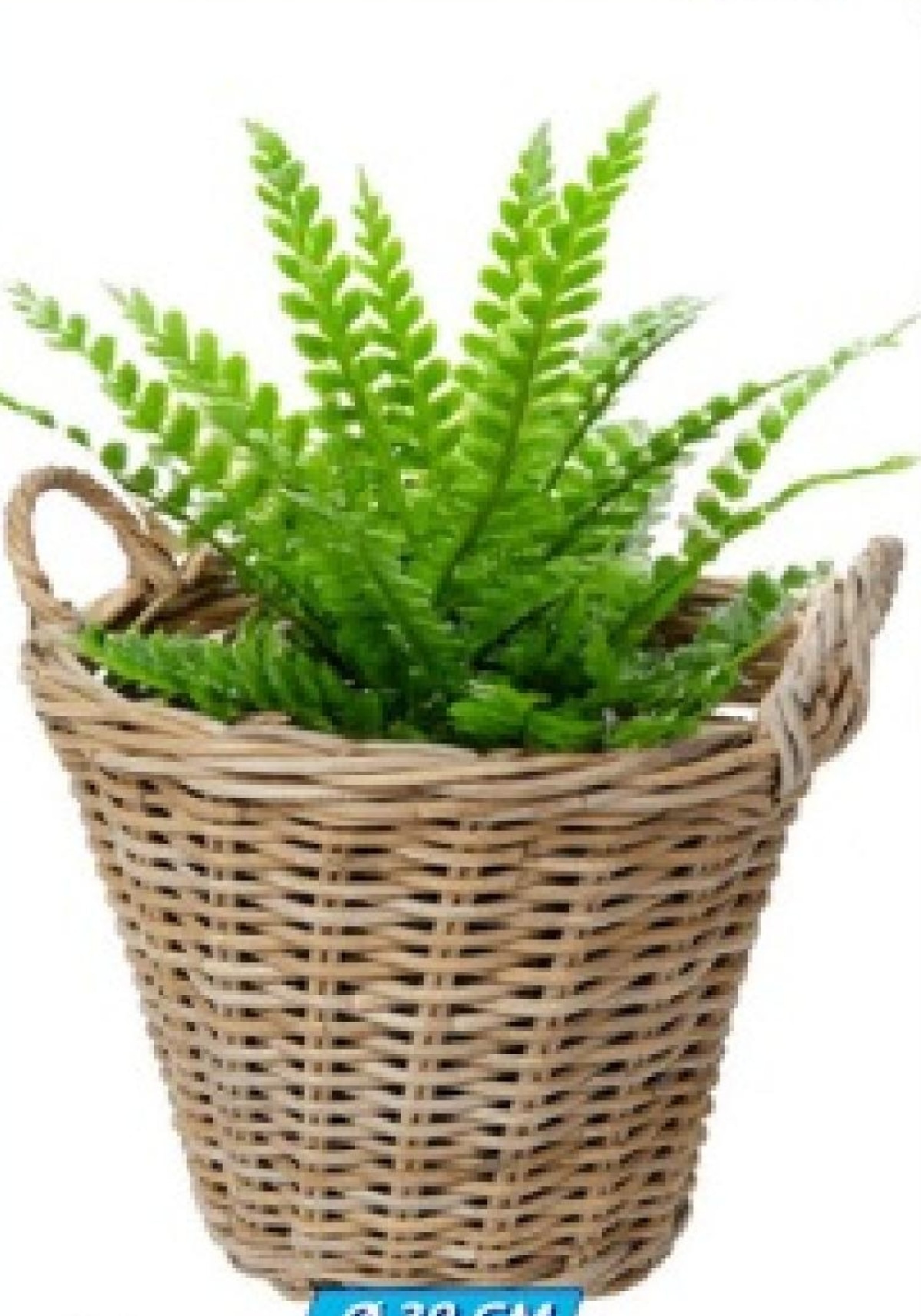 Košara od ratana - Akcija u trgovini Action