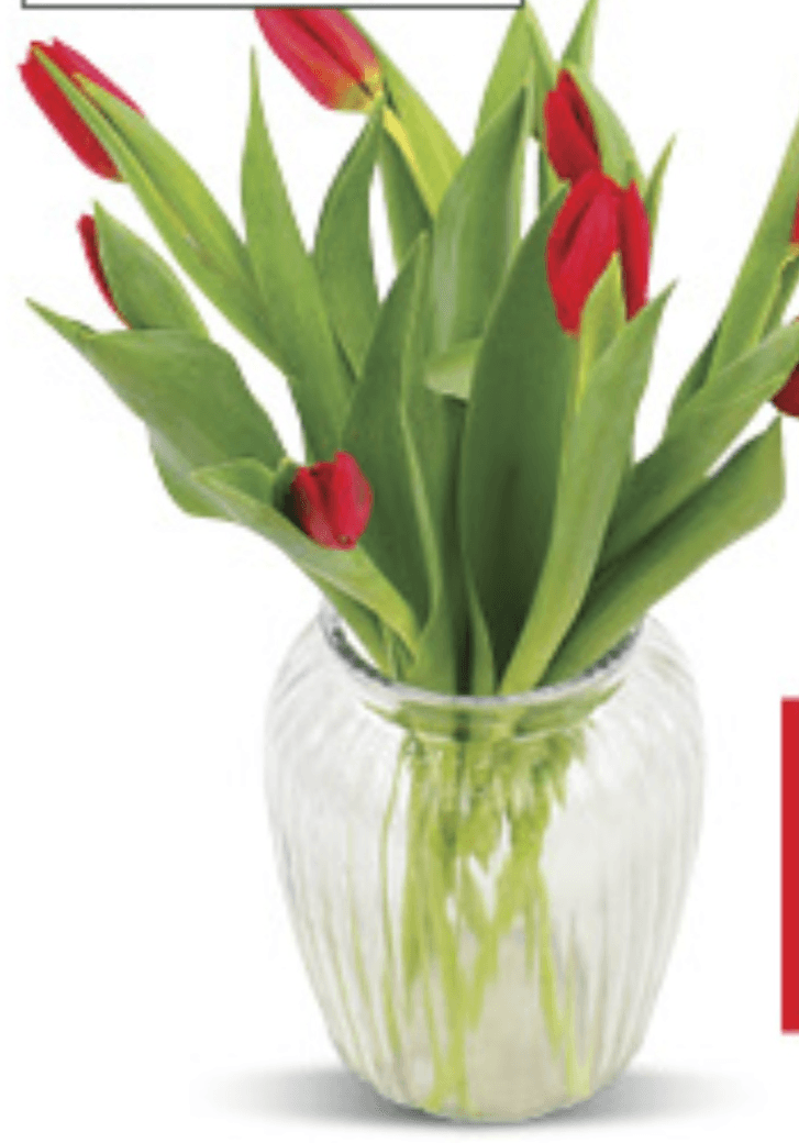 Buket 9 tulipana kom - Akcija u trgovini Konzum