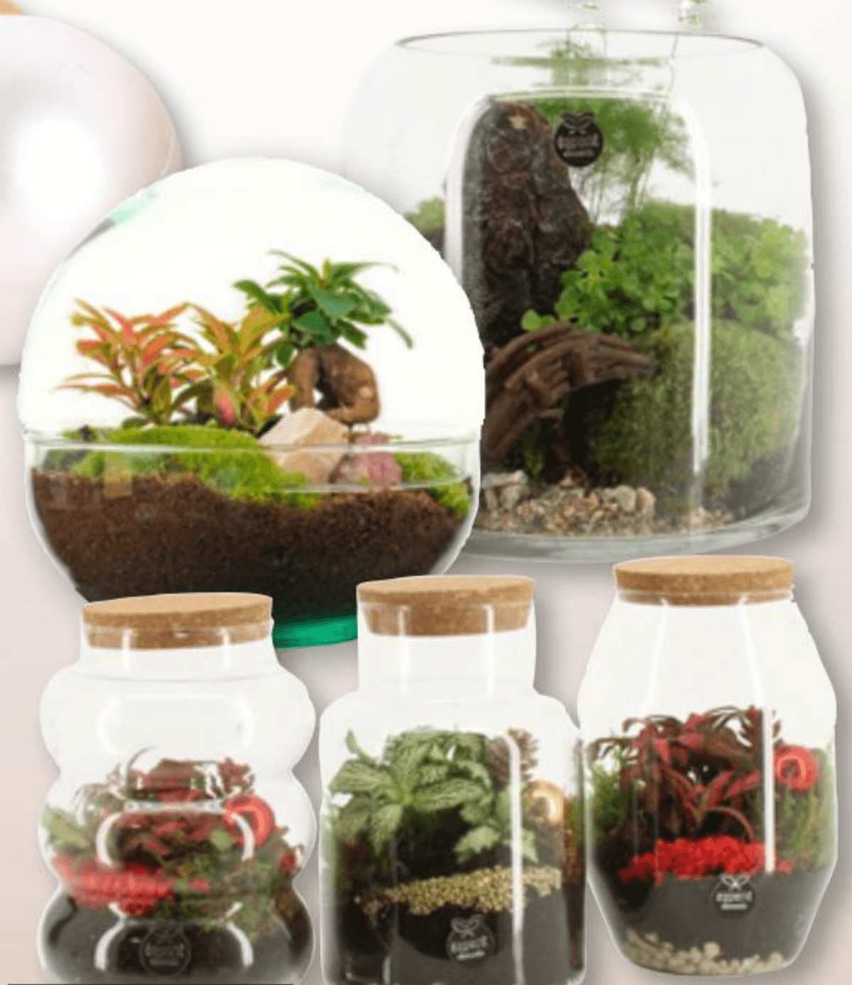 Aranžman u staklu - Akcija u trgovini Interspar