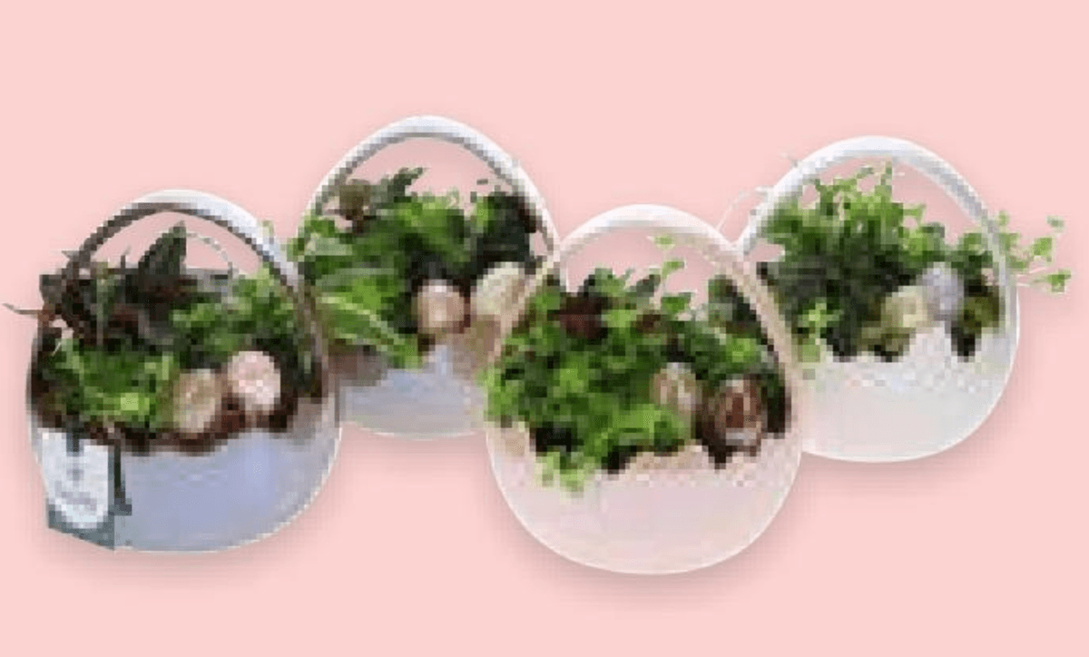 Aranžman jaje 1 kom - Akcija u trgovini Spar