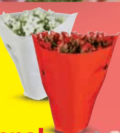 Mini kalanhoa - Akcija u trgovini Lidl