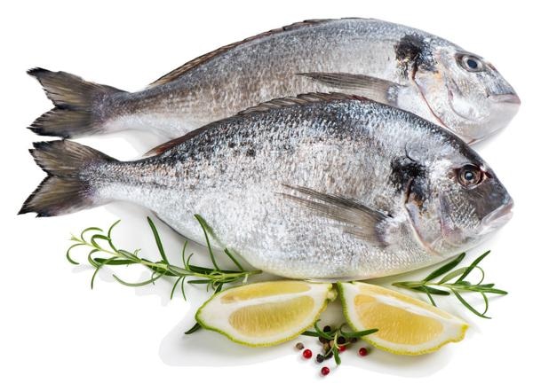 Orada 300-400 g - Akcija u trgovini Metro