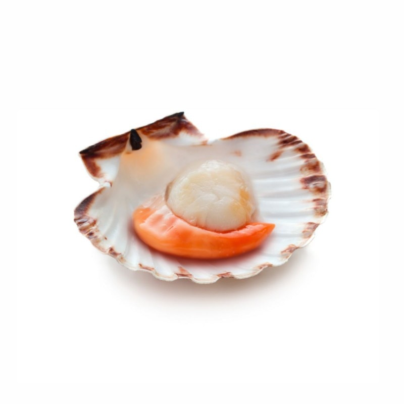 Svježe jakobove kapice 300 g - Akcija u trgovini Lidl