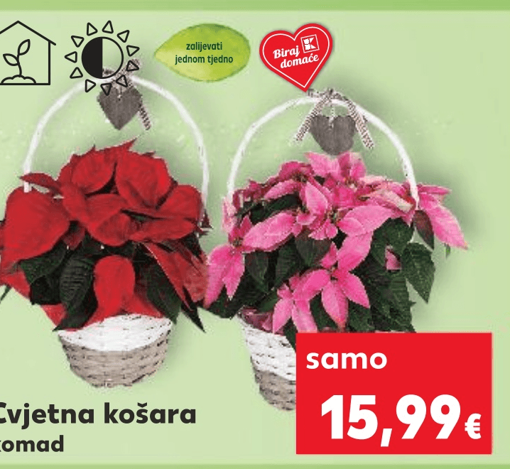 Cvjetna košara - Akcija u trgovini Kaufland
