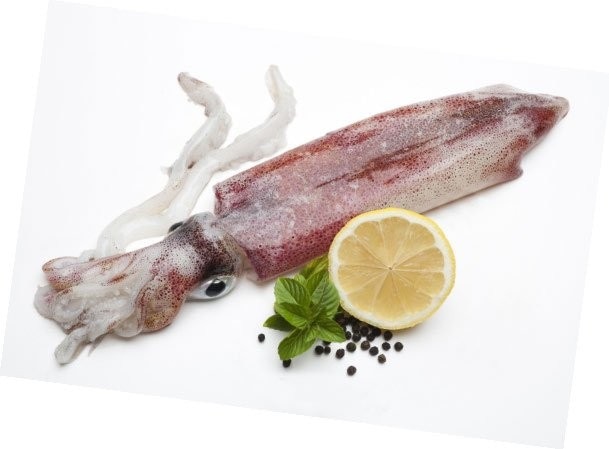 Svježa jadranska lignja 1 kg Akcija u trgovini Spar