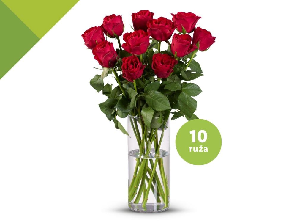Ruže 10 kom - Akcija u trgovini Lidl