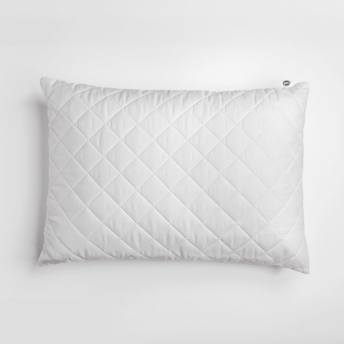 Jastučnica - Akcija u trgovini Konzum