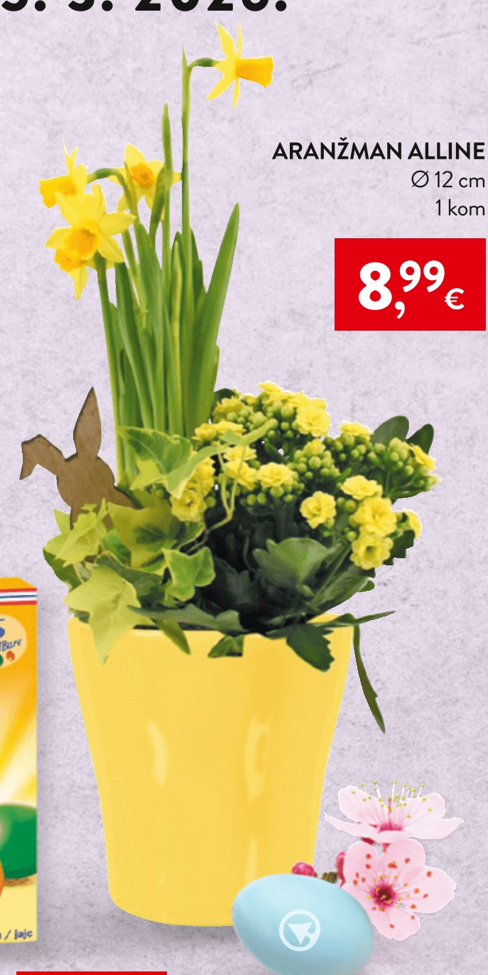 Aranžman Alline 1 kom - Akcija u trgovini Spar