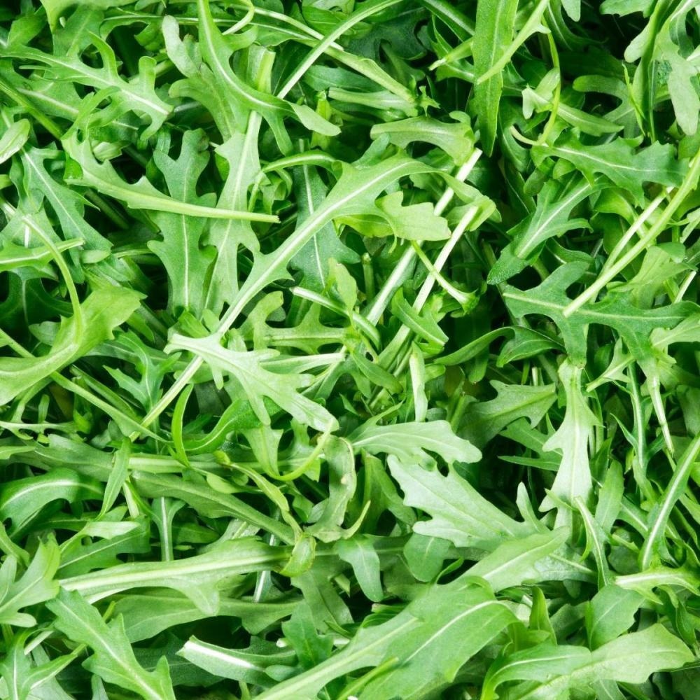 Divlja rikola 'Farina' - Akcija u trgovini Bauhaus