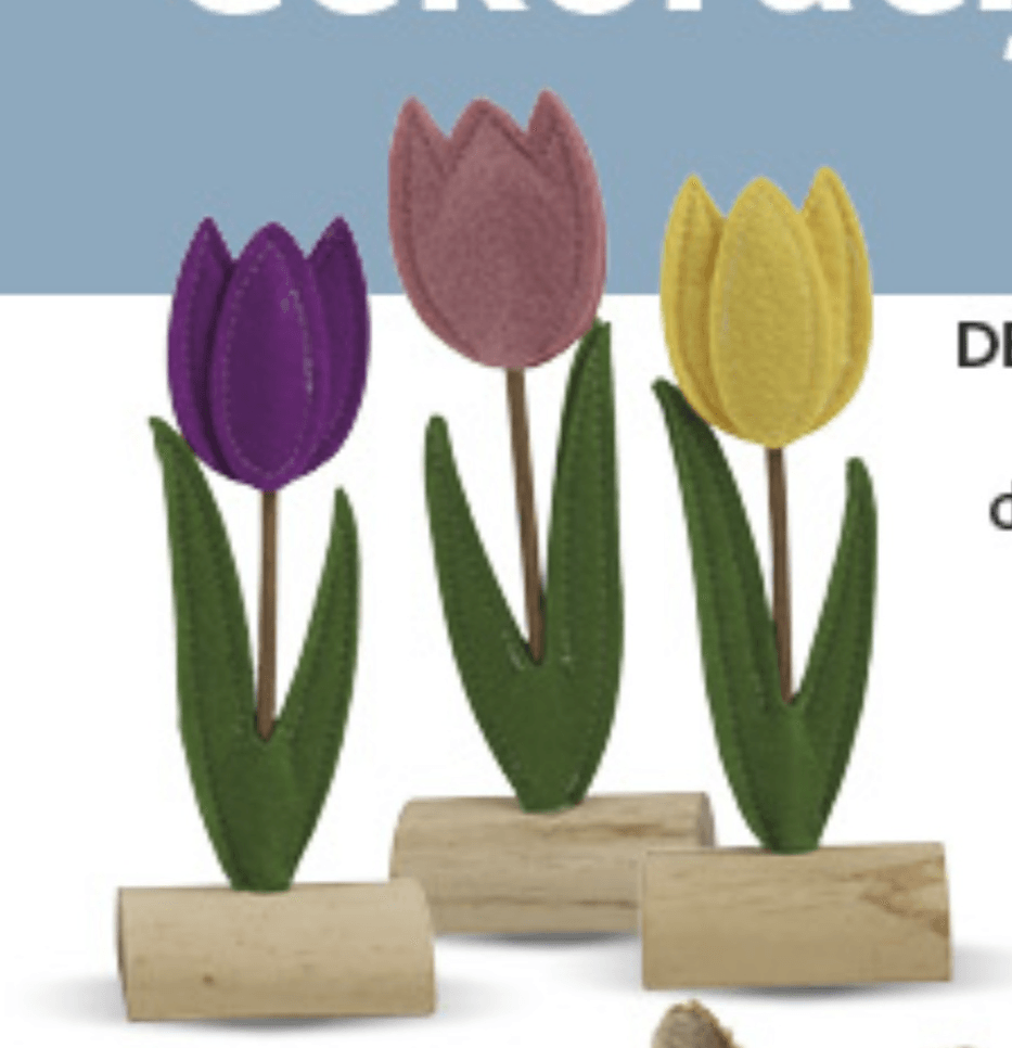 Dekorativni cvijet - Akcija u trgovini Konzum