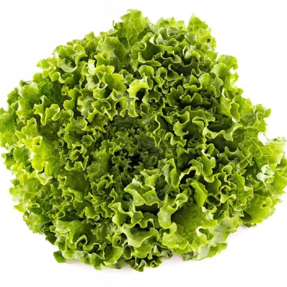 Domaća salata kristalka - Akcija u trgovini Plodine