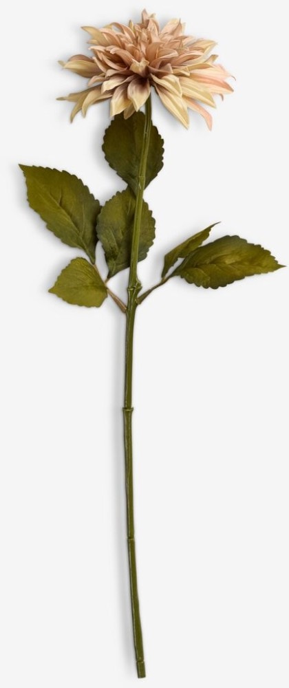 Bernt umjetni cvijet V62 cm Akcija u trgovini Jysk