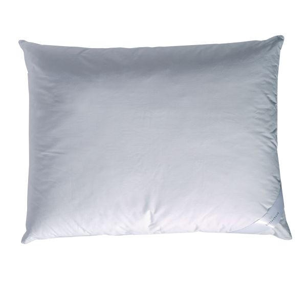 Jastuk Tosca 60x80 cm billerbeck - Akcija u trgovini Lesnina