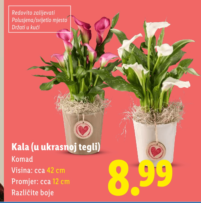 Kala Komad - Akcija u trgovini Lidl