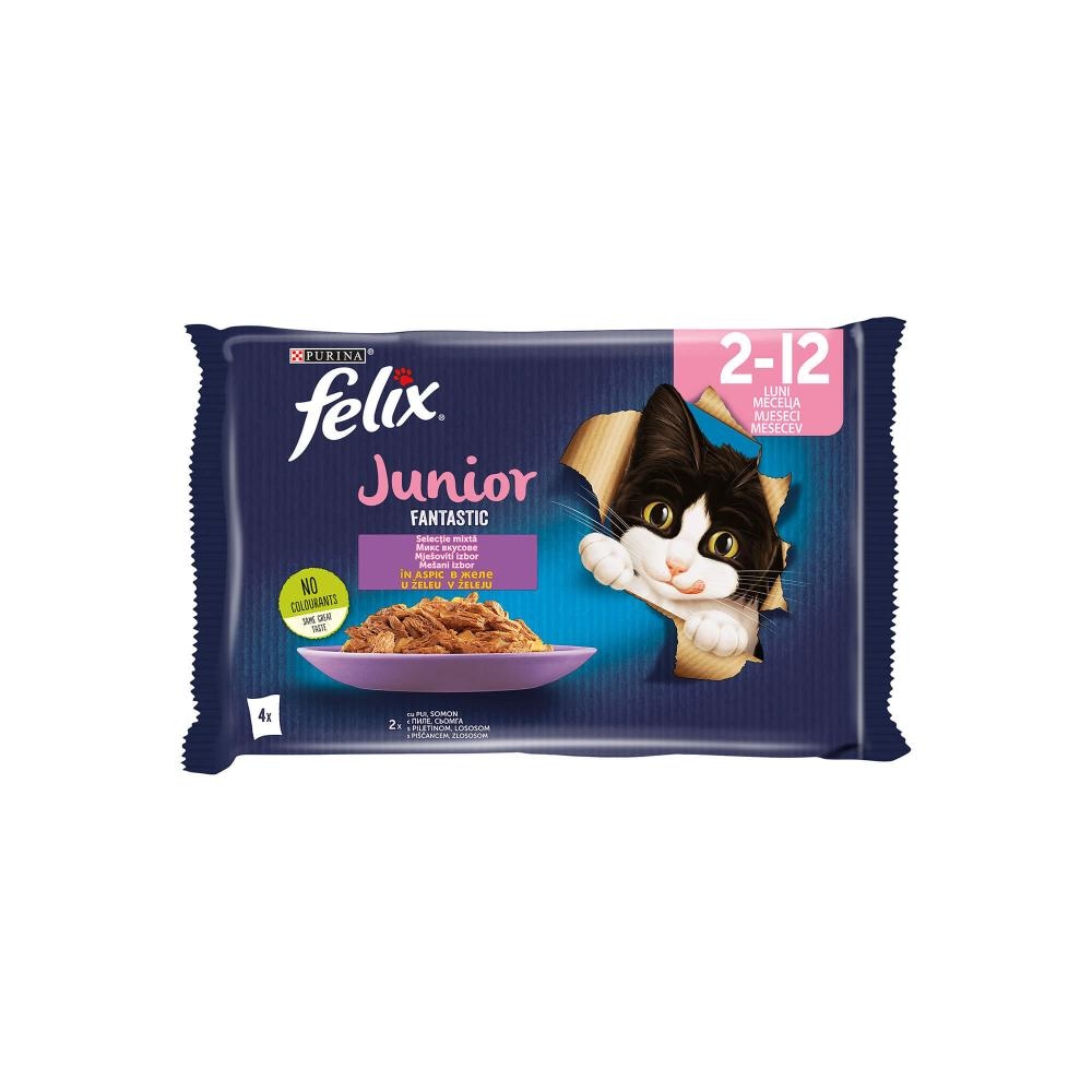 Felix Fantastic Junior piletina i losos 4x85 g Friskies Akcija u trgovini Zoo City